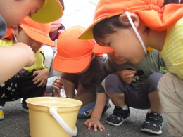 「どこ？どこ？」と夢中な子どもたち