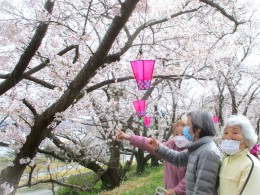 本庄のふるさと公園は満開でした♡