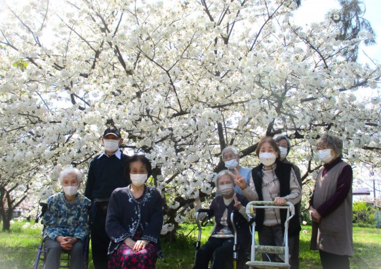 皆生に八重桜を見に出掛けました(^^)